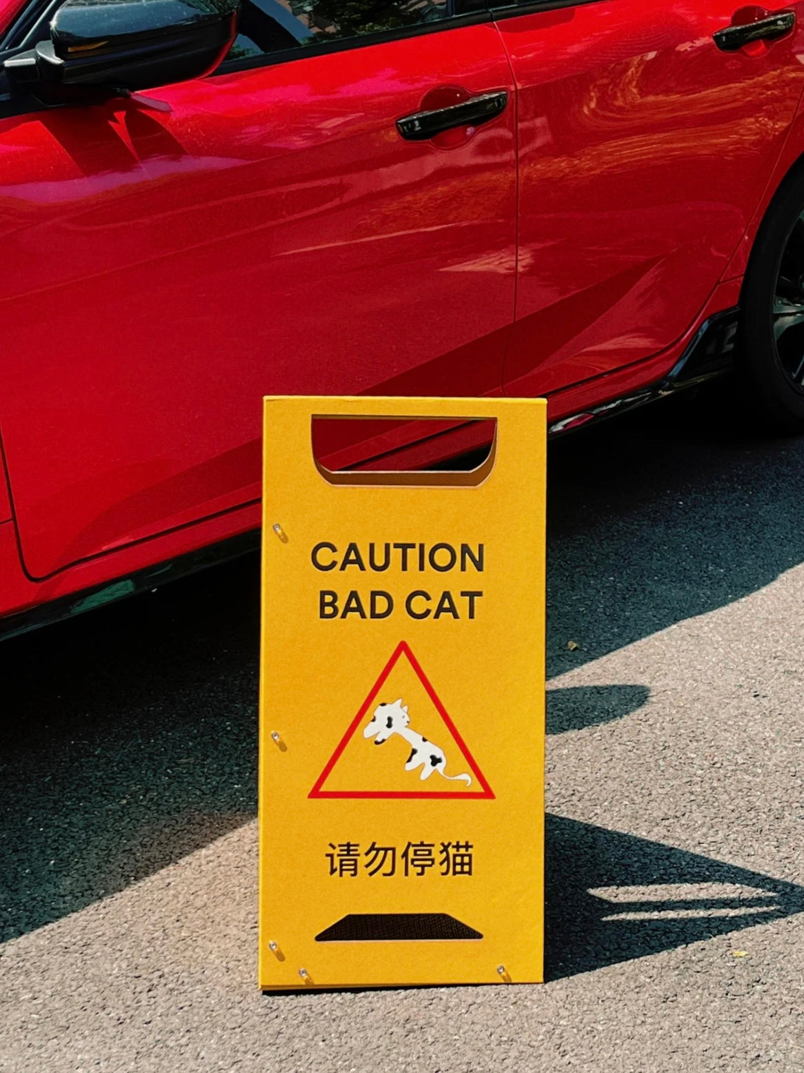 Cat Scratcher Bed｜Caution Bad Cat