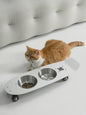 Skateboard Pet Double Feeding Bowl