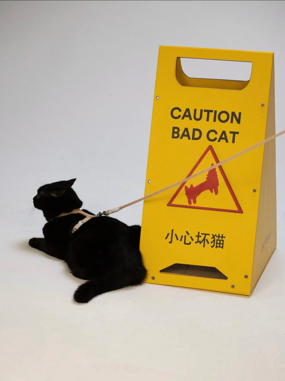 Cat Scratcher Bed｜Caution Bad Cat