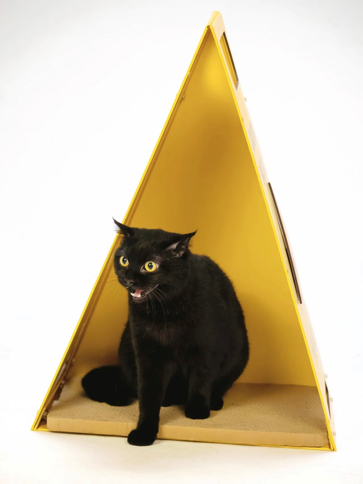 Cat Scratcher Bed｜Caution Bad Cat